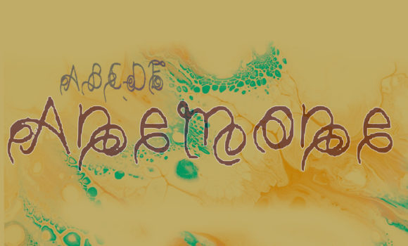 Anemone: Crafting a Whimsical and Stylish Visual Voice